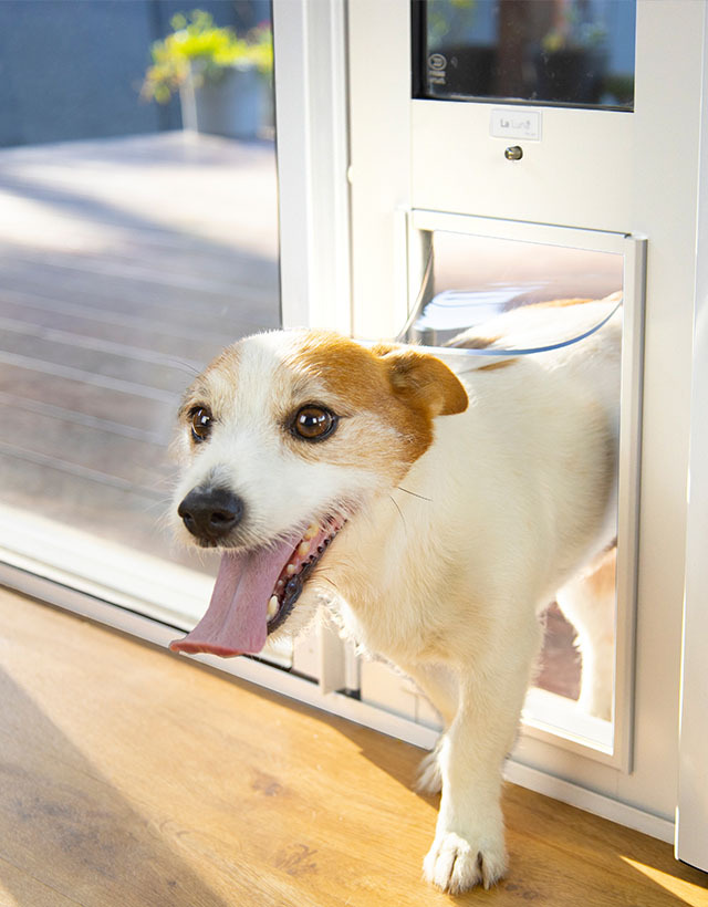 Patio Pet Door Insert La Luna Care, Temporary Dog Door Sliding Door