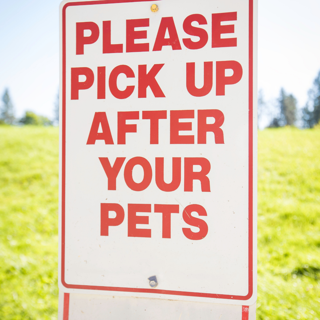 Pick up after your pets