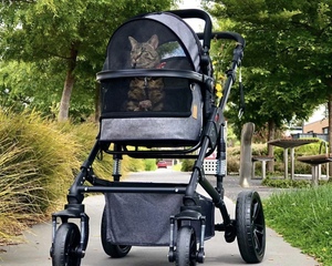 The Benefits of Using a Pet Stroller