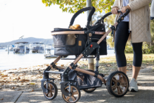 Why use a Pet Stroller for your Dog or Cat?