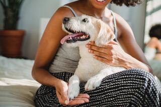 Tips for Introducing a New Dog to Your Home
